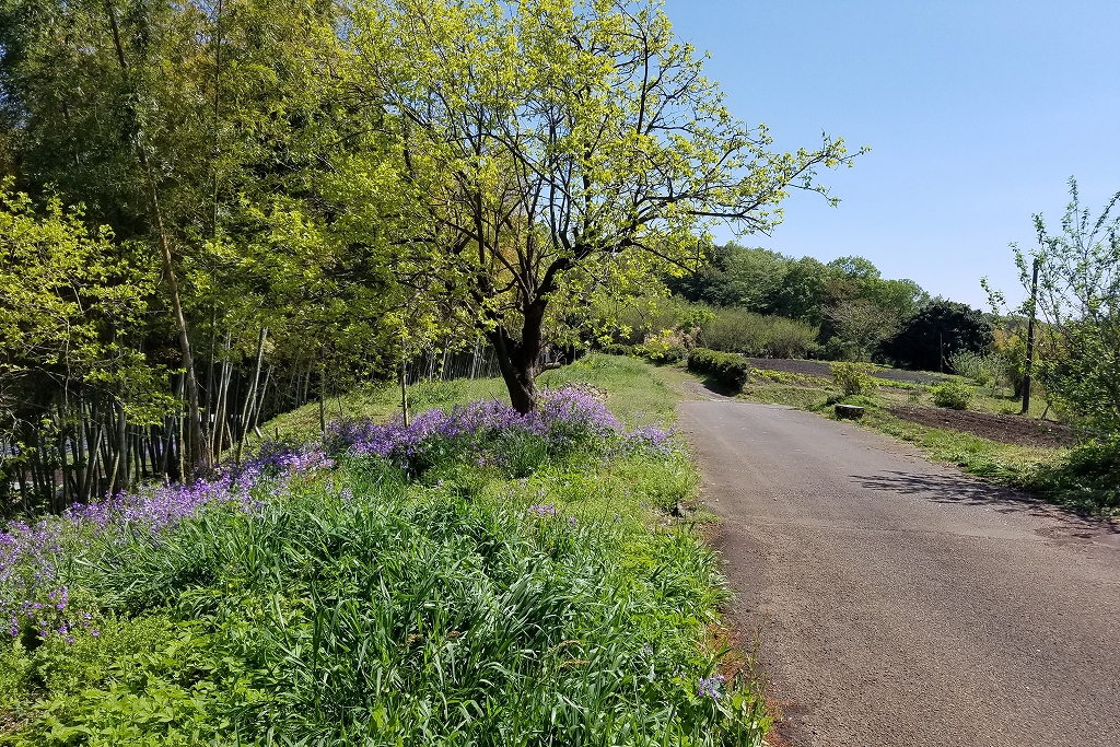 小野路城への小路（町田市小野路馬場）