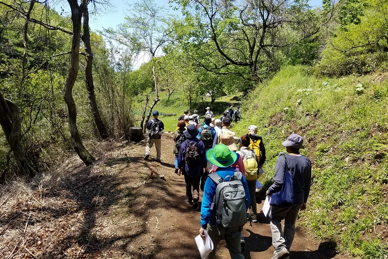 小野路城址から小山田城址への道（東京都町田市）