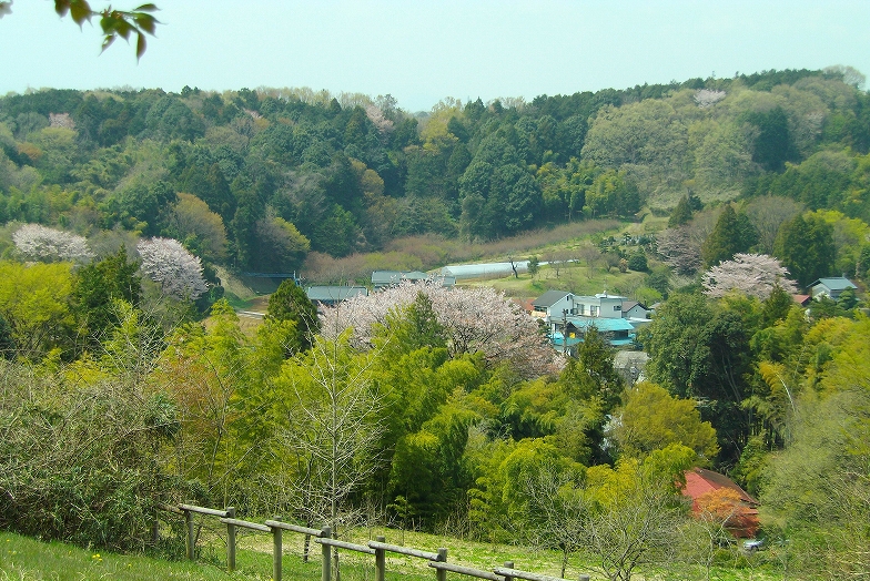 小山田「語り部の丘」からの遠望（東京都町田市）