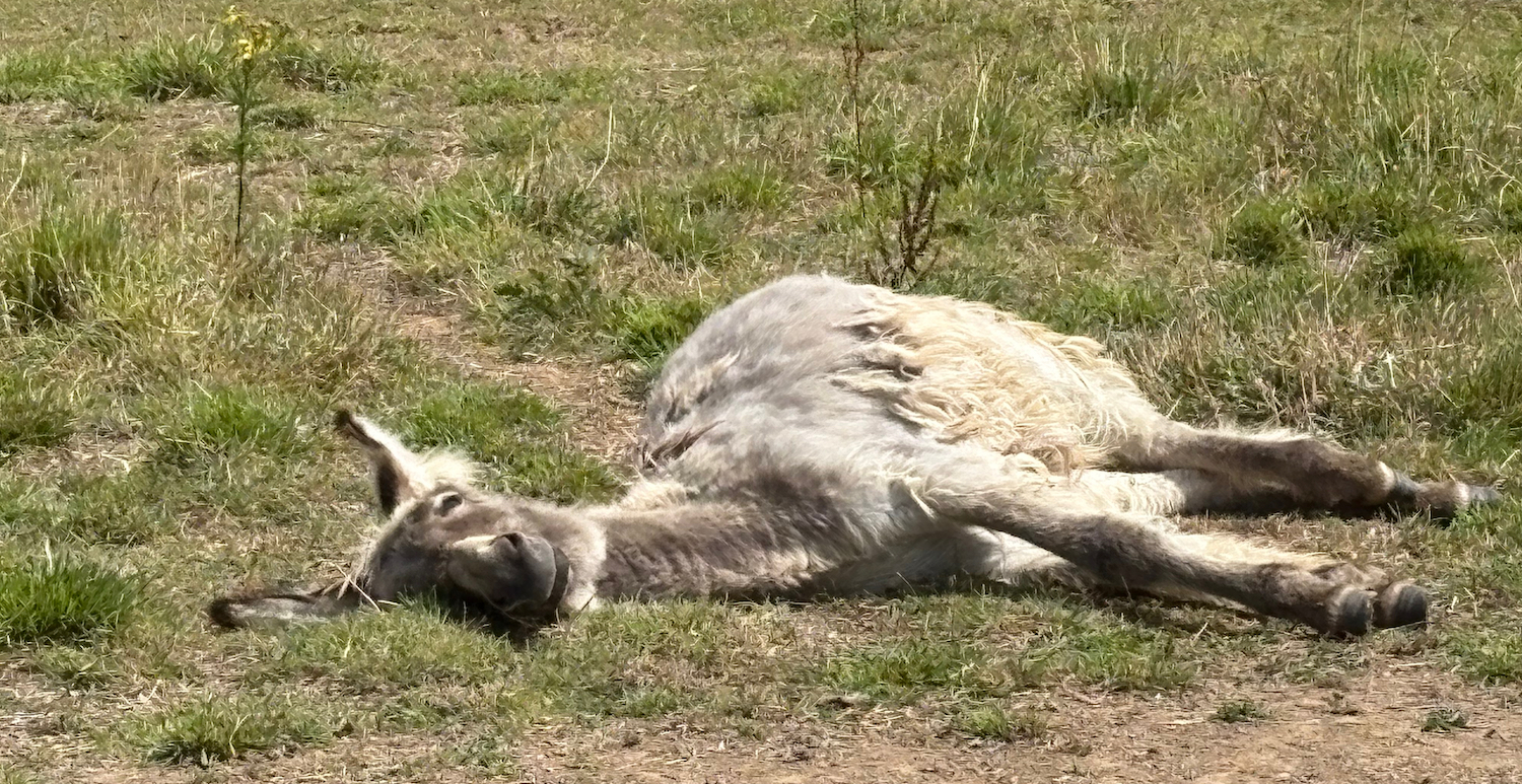 Leadership – was wichtig ist, wissen wir längst
