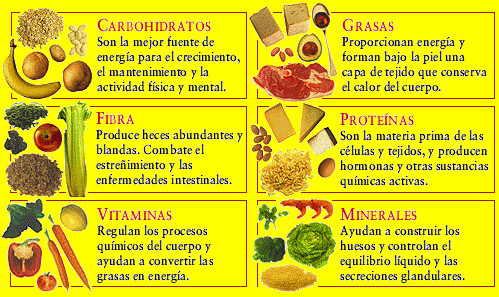 dieta ideal para perder peso