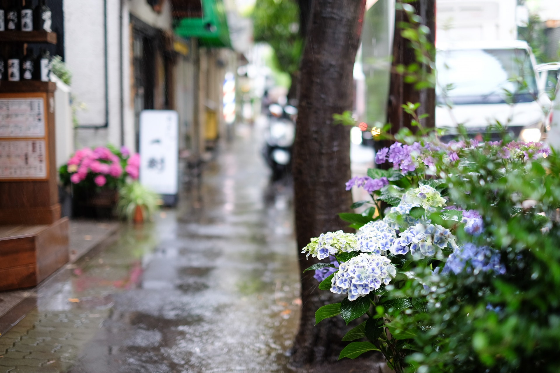 梅雨入り間近！