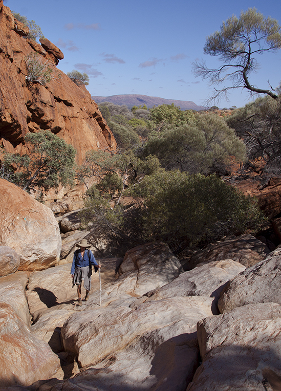 Join a guided 4 WD Tour to Mt Augustus