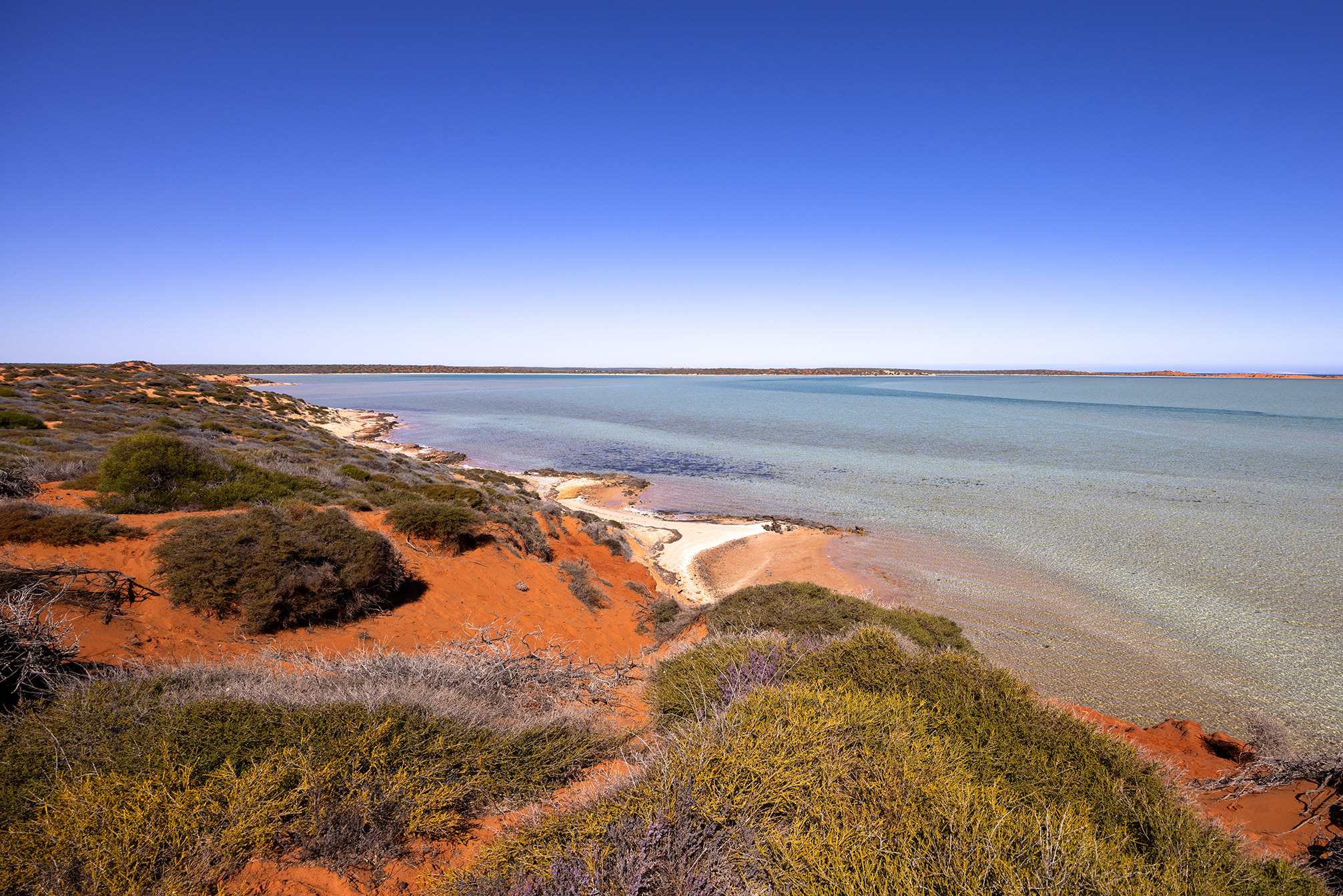 Red cliffs, white beaches, 4 WD Tours to Francois Peron National Park.