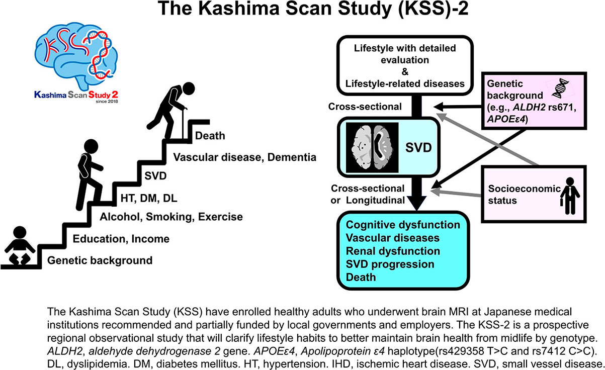 The Kashima Scan Study 2: a protocol for a prospective observational cohort study of cerebral small vessel disease in neurologically healthy adults