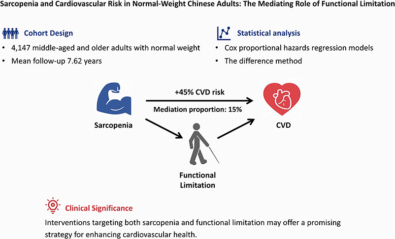 Relationship between sarcopenia and cardiovascular disease among middle-aged and older adults with normal weight in China: functional limitation plays a mediating role