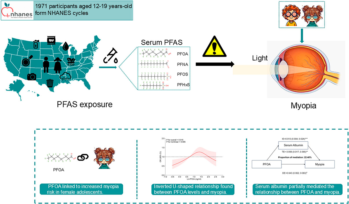 Associations between per- and polyfluoroalkyl substance exposure and the prevalence of myopia in adolescents: the mediating role of serum albumin