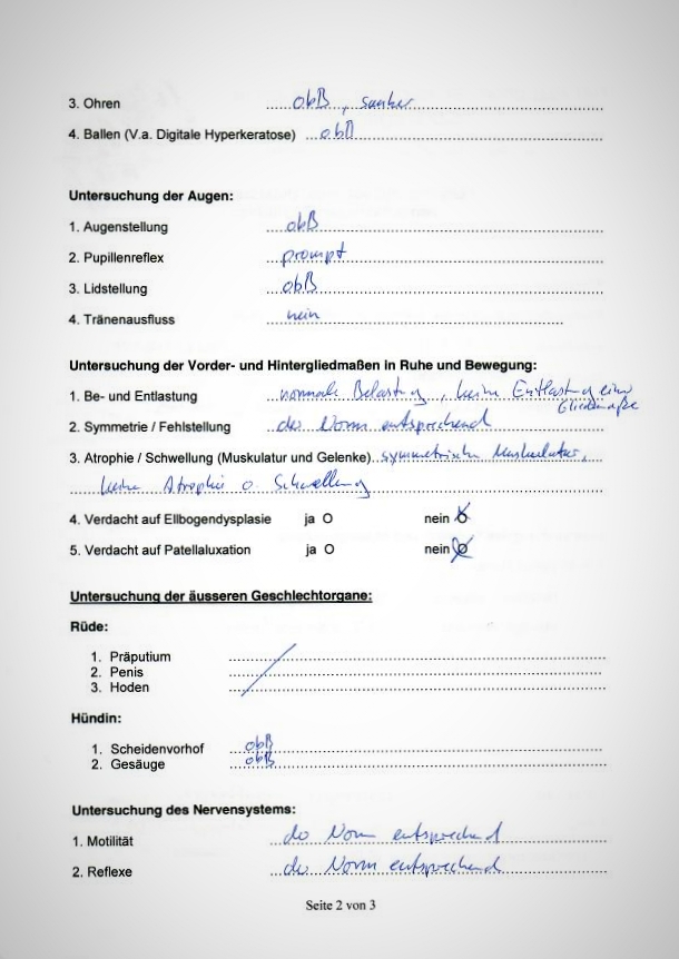 Cataleyas tierärztliche Untersuchung am 21.06.2018 anlässlich der bevorstehenden Körung - 2. Seite