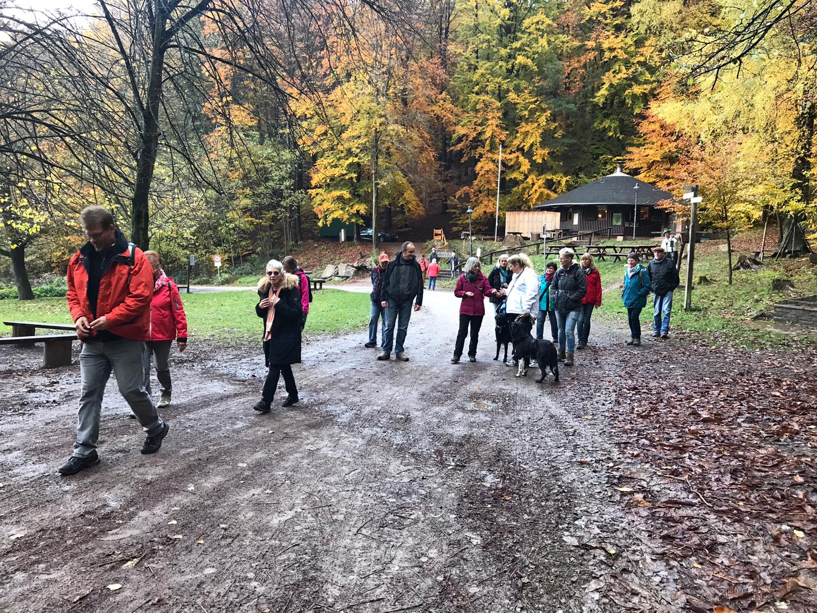 09.11.2019 Herbstwanderung 3