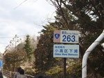 10km圏の検問近く、東京との距離わずか263km