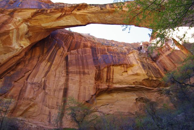 Natural Bridge