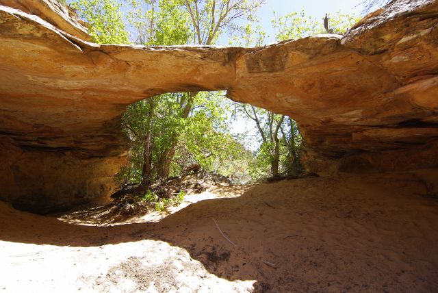 Maverick Bridge