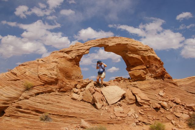 Arsenic Arch