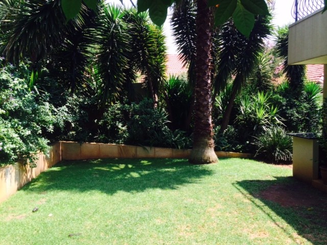 The garden before bedlam struck