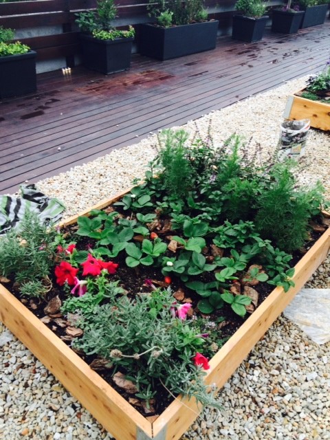 Planting in the rain was a welcome relief from the heat