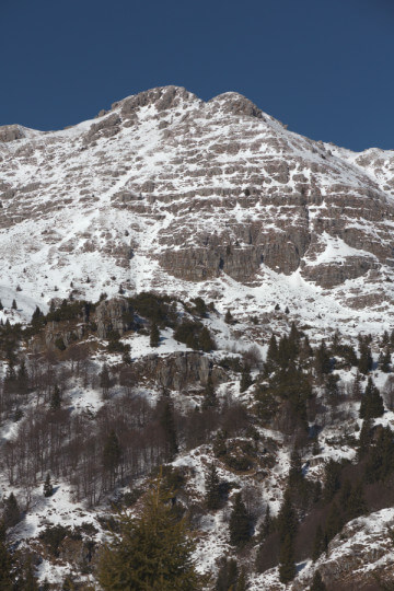 Photo of snowy mountain with blue sky and bare trees below