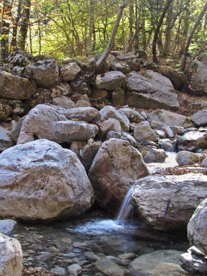 Photo of stream rocks with small waterfall and trees background
