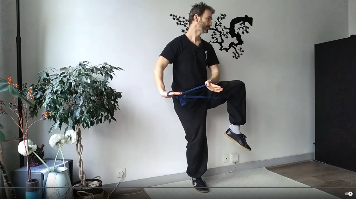 Peng Lu Ji An : 4 forces du tai chi chuan