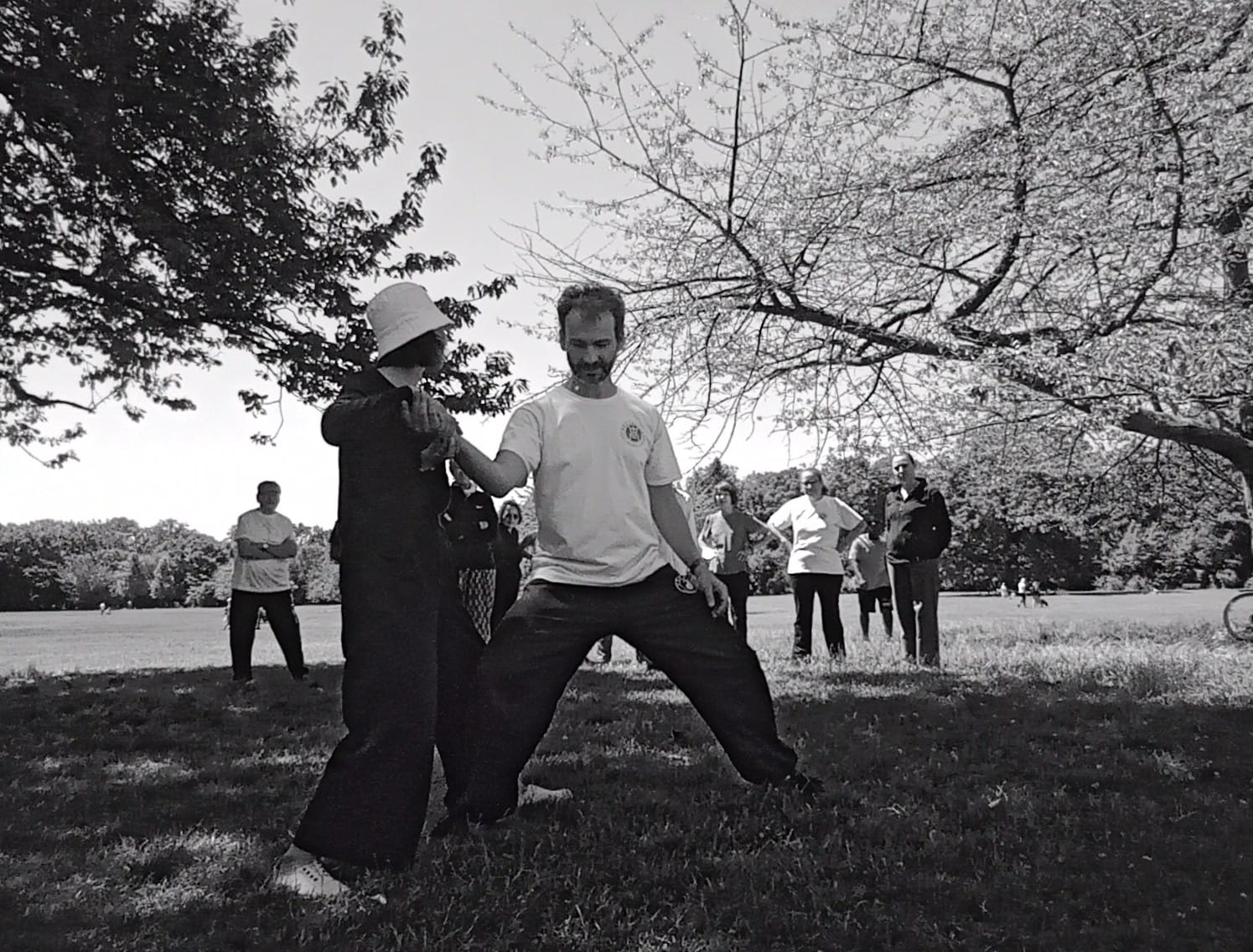 Compte rendu d'un atelier de tai chi au parc de Sceaux