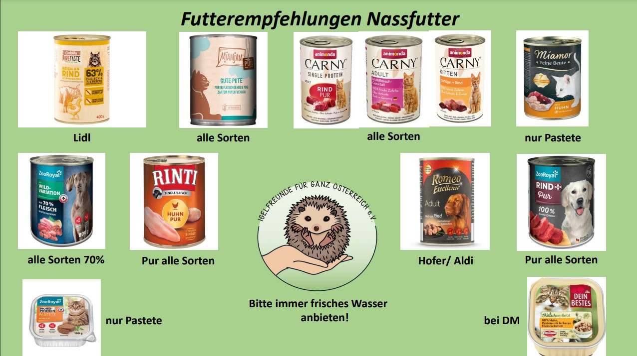 nassfutter fr allergische hunde RINTI Singlefleisch Lamm  Nassfutter fr allergische Hunde