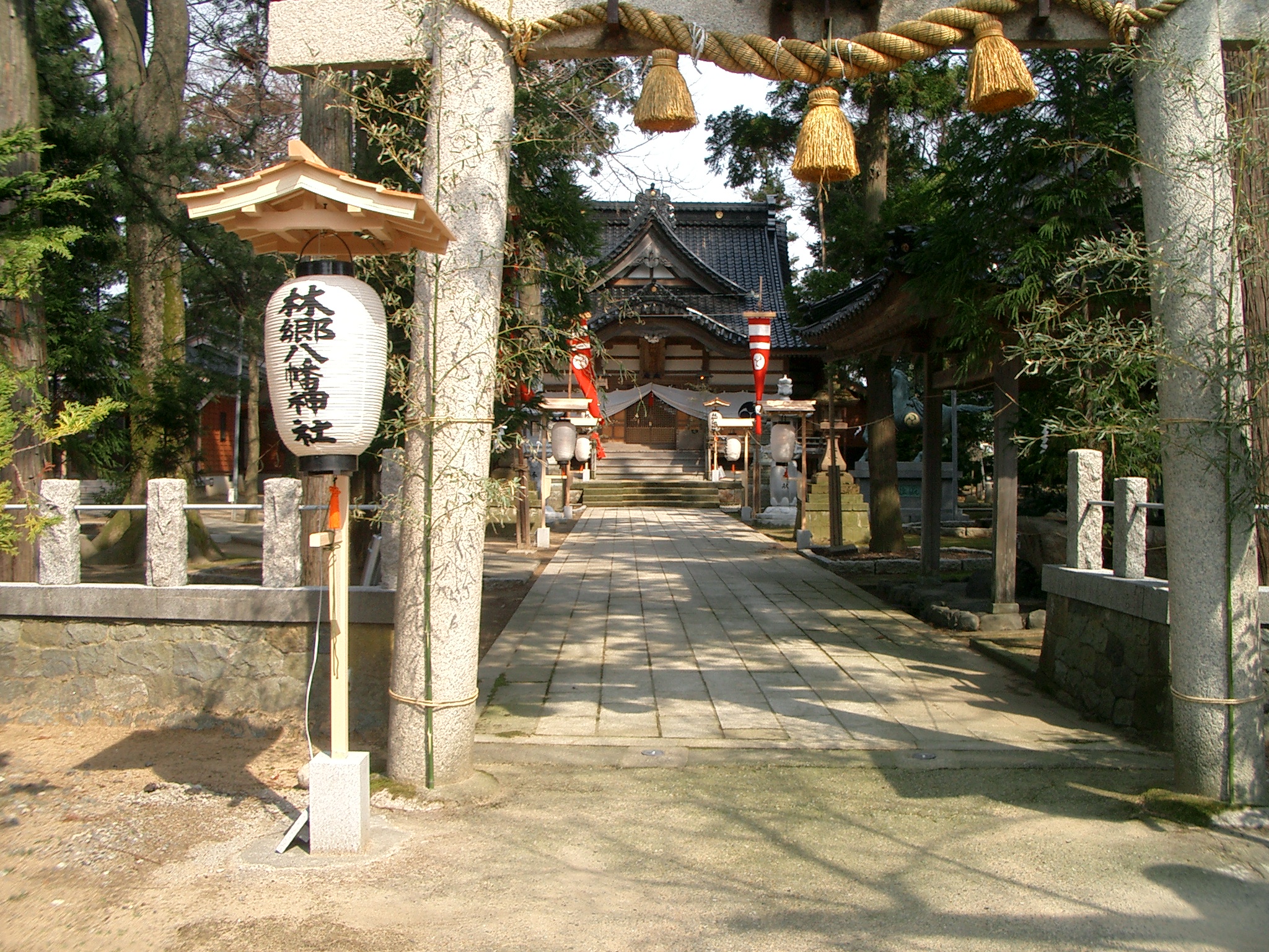 樹齢300年以上の圧倒的な年輪/天然乾燥で含水率15％以下