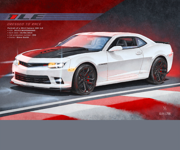 OPTIONS NIVEAU III:   • Options "Light On" inclus   • Ajout de vibreurs de circuit de course   • Informations de l'auto écrites en haut à gauche   • PRIX: CA$190