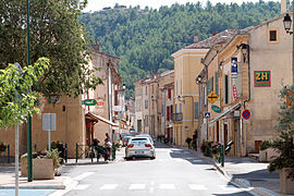 Ramonage à Meyrargues et Aix en Provence