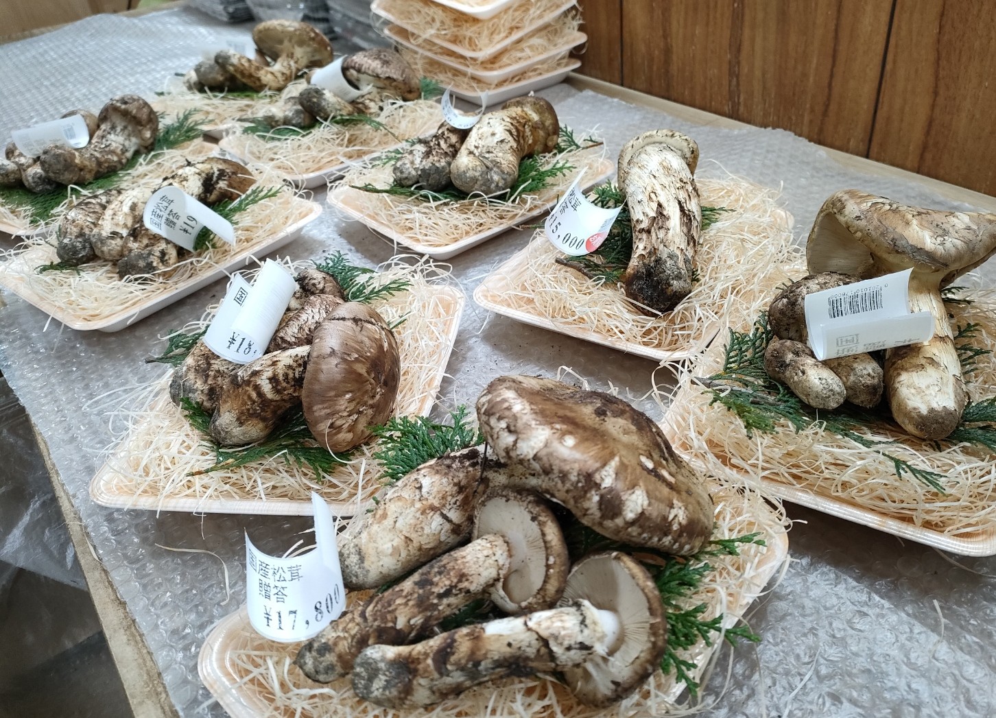 9⁄25採れ 岩手県産 松茸 330g 公式通販 岩手県産！天然松茸！