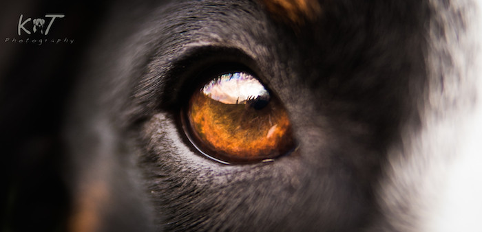 Week 16 - Into the Soul