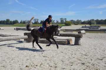 VALISCO Geländetraining Avenches 2016