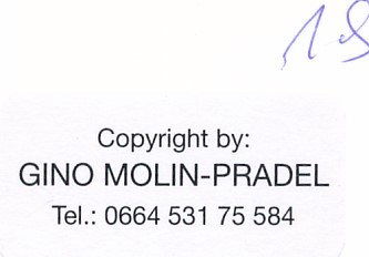 Gino Molin-Pradel dos photo Joseph Beuys achat vente vintage CD Galerie