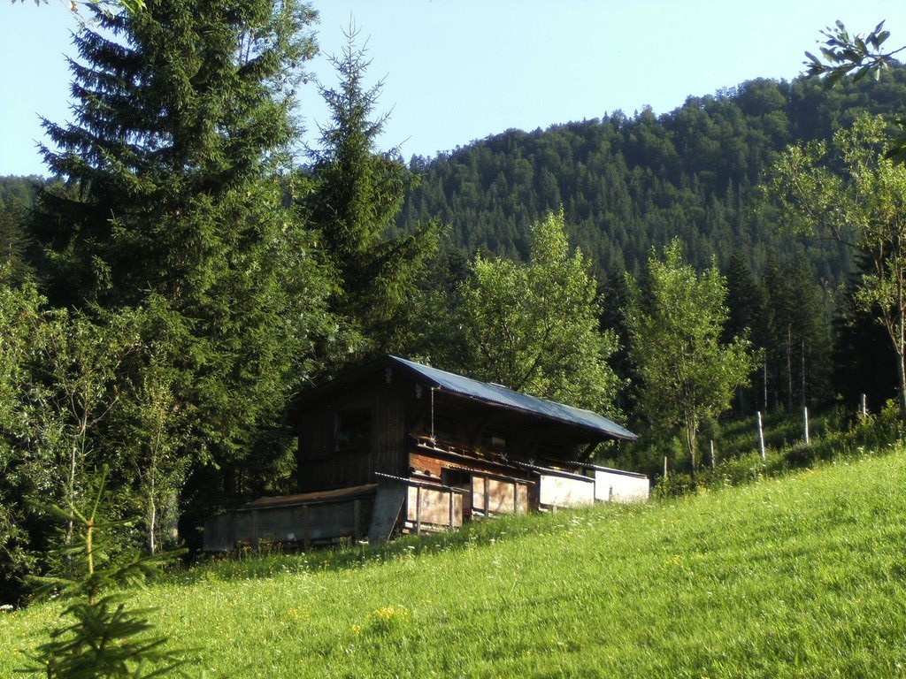 unsere Bienenhütte