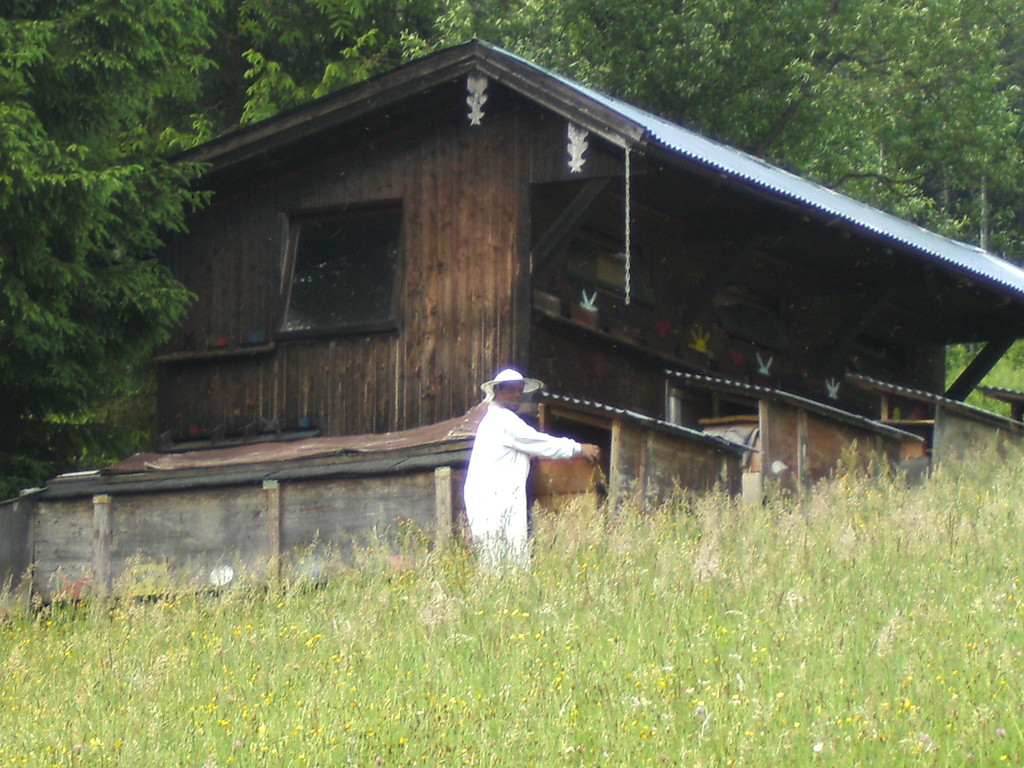 der Imker bei der Arbeit - fleißig wie die Bienen