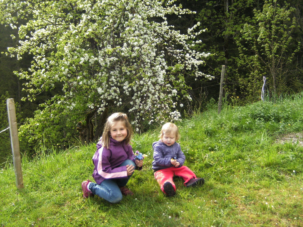 überall gibts Blumen und Blüten