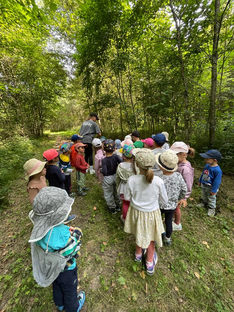 Petite balade en forêt. 