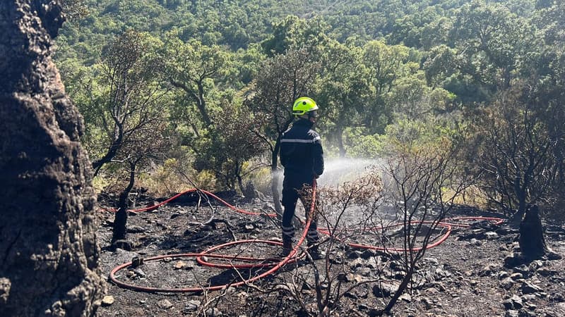 #FeuDeForêt #SDIS #SDID83 #CCFF 