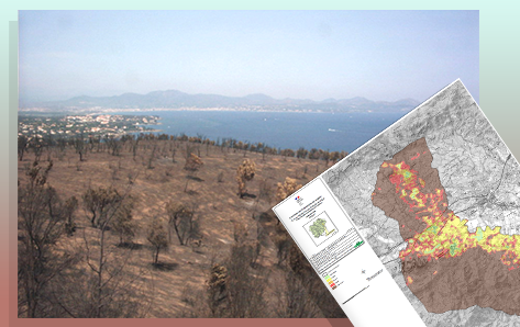 Carte Aléa  Feu de Foret commune de Roquebrune-sur-argens