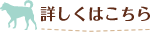 詳しくはこちら