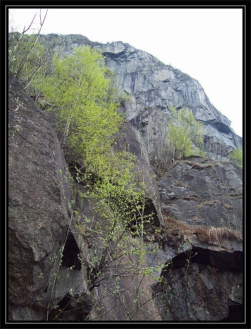 Blick hoch zum Tveitanuten..