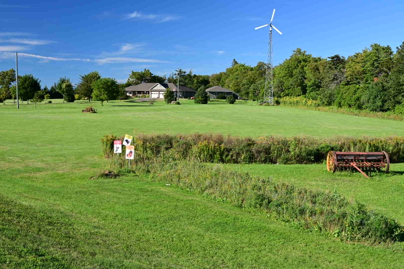 Und gepflegt geht es zu - 5000qm akkurat gemährter Rasen sind nicht ungewöhnlich, eher schon dass da einer ein paar Blumenstreifen für Bienen, Schmetterlinge und Kolibris anlegt