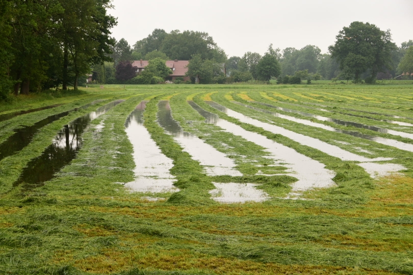 Landunter am nächsten Morgen - 96 Liter pro Quadratmeter waren gebietsweise gefallen