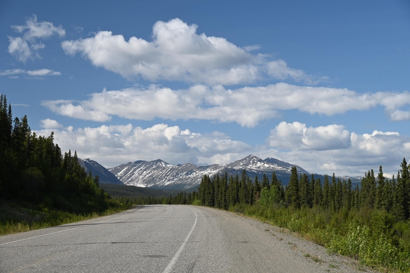 Der Alaskahighway - ein paar tausend Kilometer durch die Natur