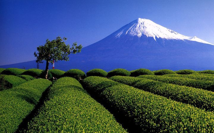 富士山