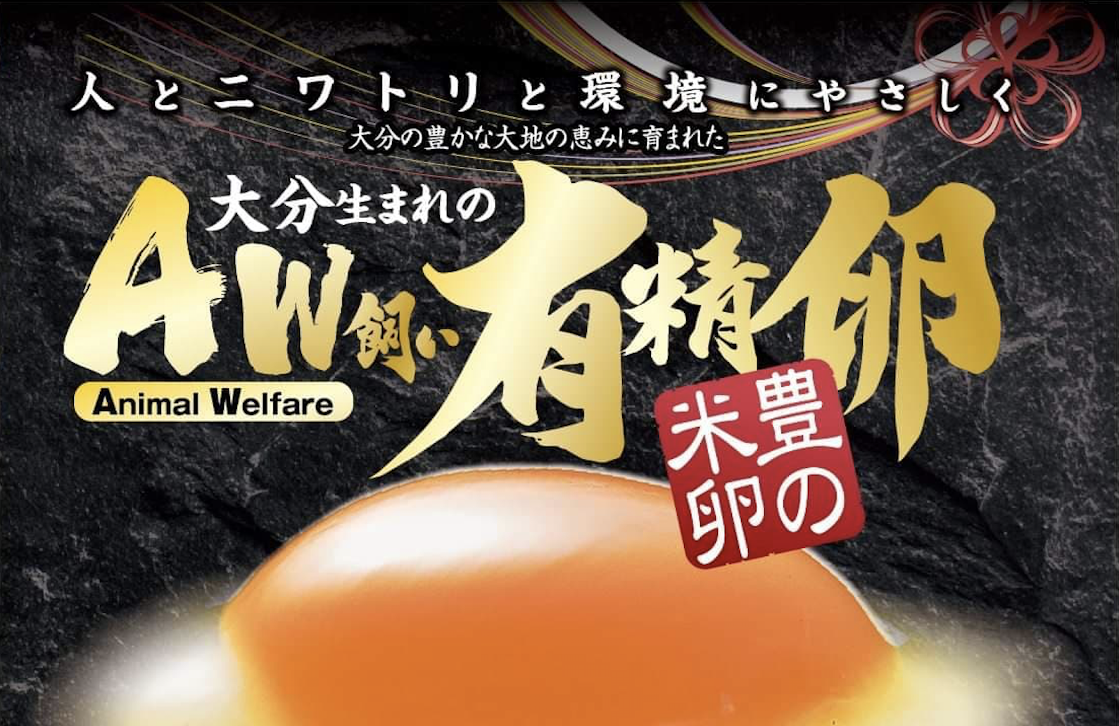 1425円 適切な価格 美味 烏骨鶏の卵 10個入り 有精卵 化粧箱入り :メーカー直送の為代引きでのお支払はお受けできません 1425円 適切な価格 美味 烏骨鶏の卵 10個入り 有精卵 化粧箱入り :メーカー直送の為代引きでのお支払はお受けできません