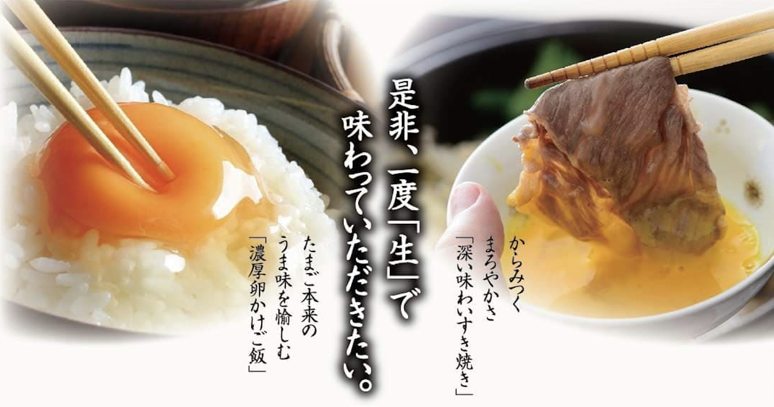 ショッピング - 卵 たまご タマゴ の鈴木養鶏場｜大分 別府 日出 新鮮