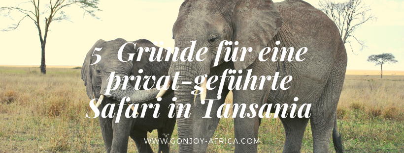 Privat geführte Safari in Tansania