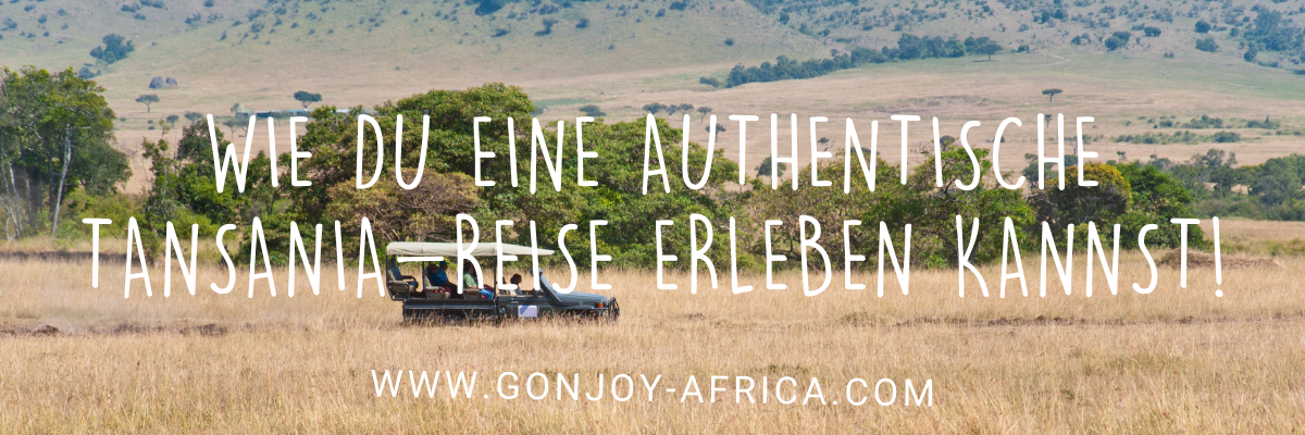 authentische Tansania Safari