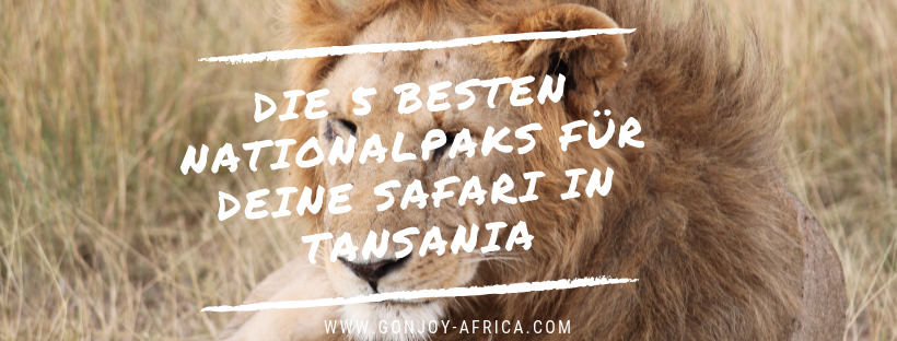Nationalparks Tansania Safari