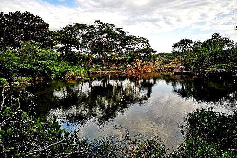 Mzima Springs