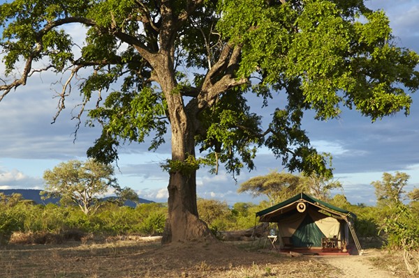 Mdonya Old River Camp